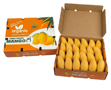 Organio-sindhri mango-product