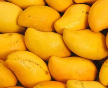 Organio White Chaunsa