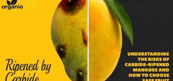 Carbive free vs chemically ripened mangoes