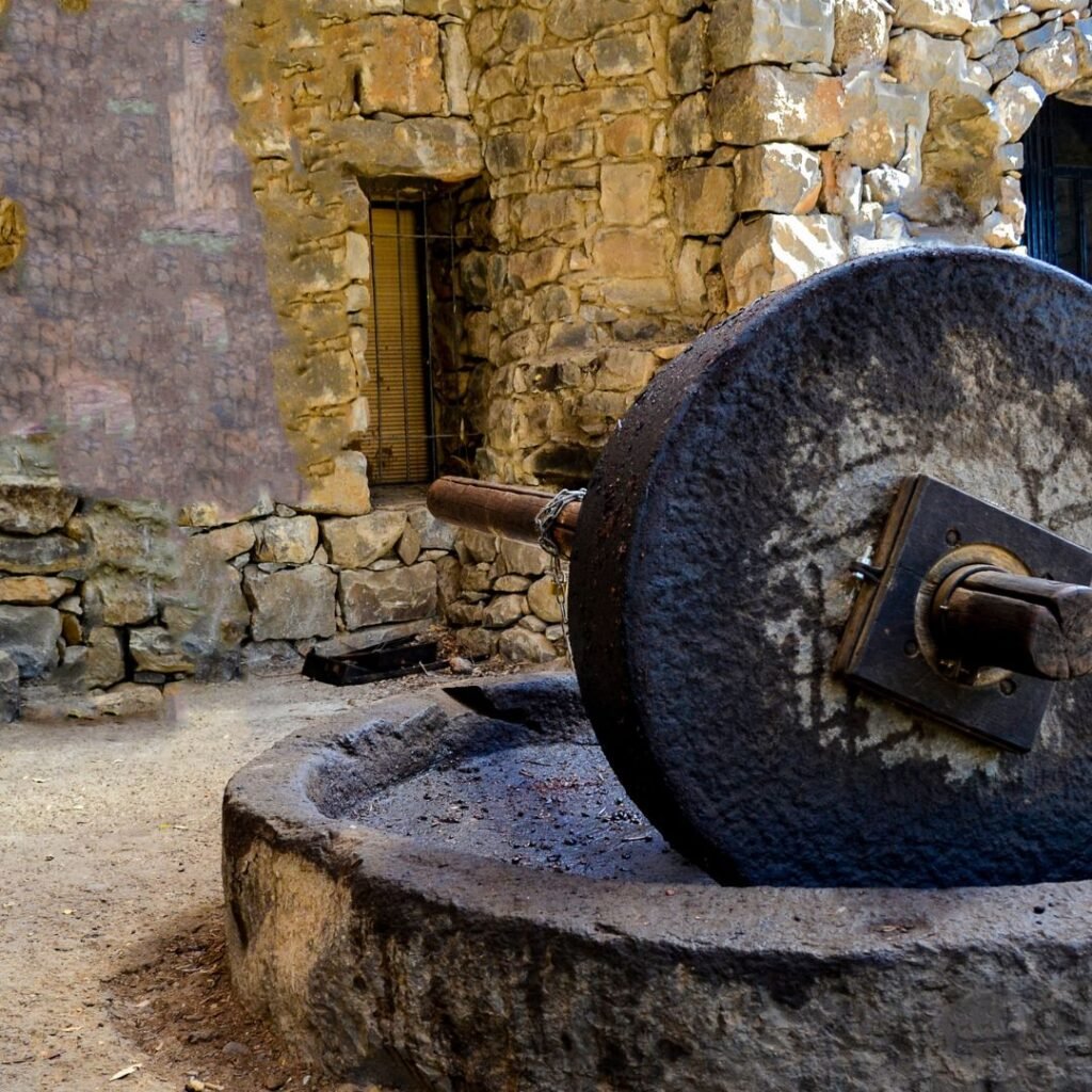 Buy Pure Cold Pressed Oils in Pakistan